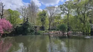 Leentje 01 Ook flamingo's